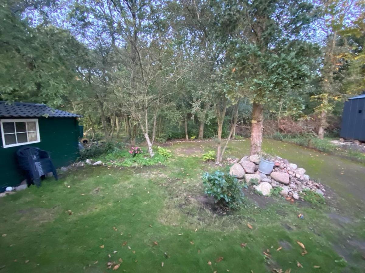 Chalet With Access To The Woods - No 147 安卢 外观 照片